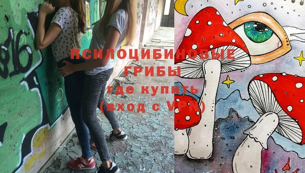 прущая мука Богородицк